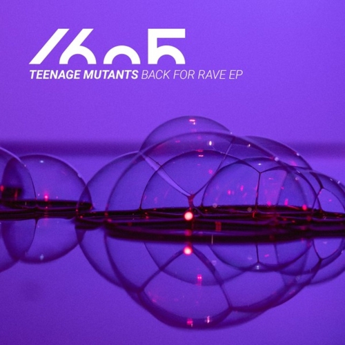 Teenage Mutants - Back For Rave EP [1605276]